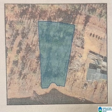 Lake Lot For Sale in Alpine, Alabama