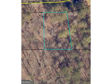 Lake Lanier Lot For Sale in Gainesville Georgia