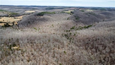Lake Acreage For Sale in Clinton, Arkansas