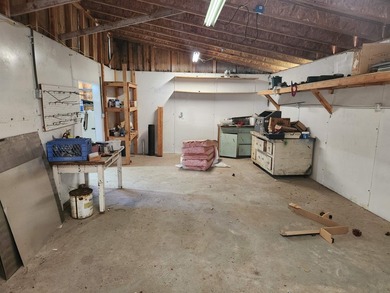 Single wide with an addition. Partial snow roof and updated - photo 22