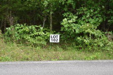 Watts Bar Lake Lot For Sale in Ten Mile Tennessee