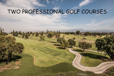 YOU WILL NOT WANT TO MISS THIS BEAUTIFULLY REMODELED GARDEN