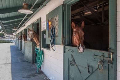 YOU WILL NOT WANT TO MISS THIS BEAUTIFULLY REMODELED GARDEN