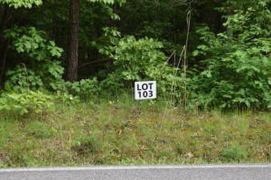 Watts Bar Lake Lot For Sale in Ten Mile Tennessee