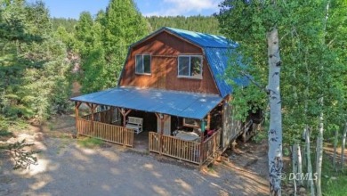 Navajo Lake Home For Sale in Duck Creek Village Utah