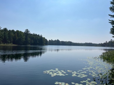 Hill Lake Parcel - Lake Lot For Sale in Minocqua, Wisconsin