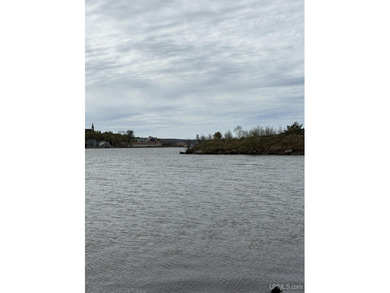 This is a 7.88 acre parcel of awesome Portage Lake waterfront - photo 7