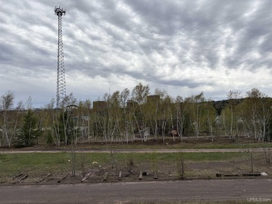 This is a 7.88 acre parcel of awesome Portage Lake waterfront - photo 8