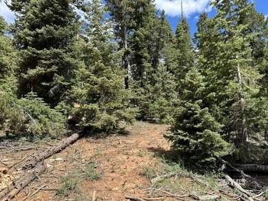 Navajo Lake Lot For Sale in Duck Creek Village Utah