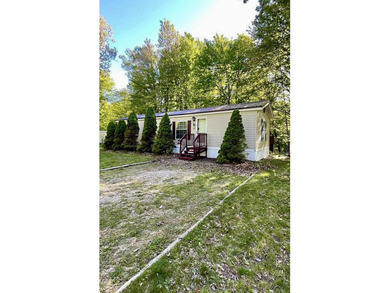 Whiskey Creek Lake Condo For Sale in Custer Michigan