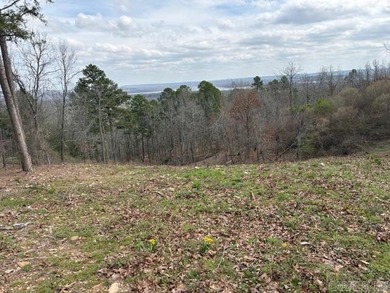 Lake Lot For Sale in Conway, Arkansas