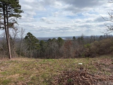 Beautiful buildable view lot with water and gas for houses with - photo 3