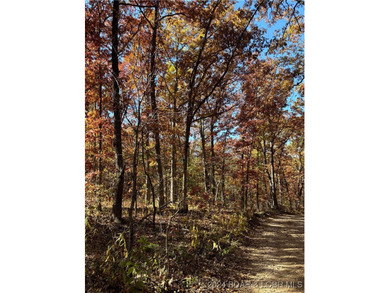 Nice wooded 10 acres, with no known restrictions. Access road is - photo 11