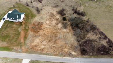 **Buildable Lot!** Survey & soil map available! If you're - photo 19
