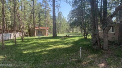 Rainbow Lake Lot For Sale in Lakeside Arizona