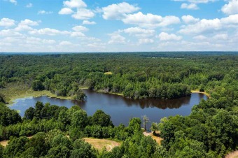 (private lake) Acreage For Sale in Pinson Tennessee