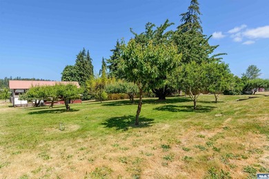 Nestled in the heart of sunny Sequim, this stunning A-frame home - photo 41