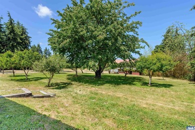 Nestled in the heart of sunny Sequim, this stunning A-frame home - photo 42