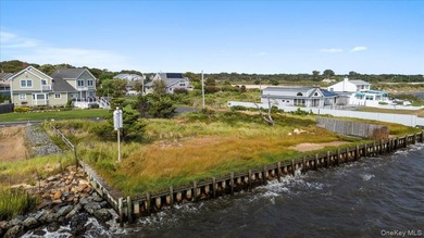 Accepting Back Up Offers Waterfront Lot with Bulkhead - Build - photo 8