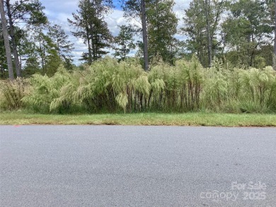 Lake Rhodhiss Acreage For Sale in Connelly Springs North Carolina