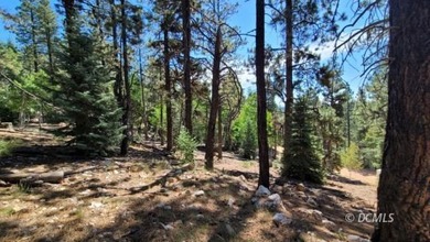 Navajo Lake Lot For Sale in Duck Creek Village Utah
