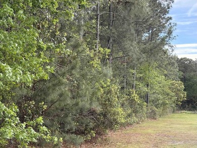 This 3.27-acre parcel sits on Gussie Court, just off Highway 707 - photo 2