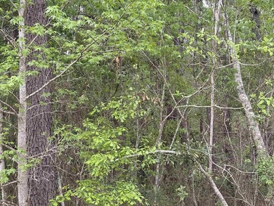 This 3.27-acre parcel sits on Gussie Court, just off Highway 707 - photo 4
