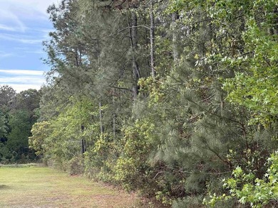 This 3.27-acre parcel sits on Gussie Court, just off Highway 707 - photo 5