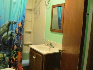 Three bedroom and two bath home on 1.3 acre lot with a 60 X 60 - photo 11