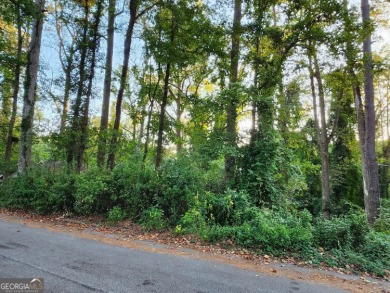 Lake Lot For Sale in Pine Lake, Georgia