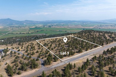 Welcome to Pinecrest Ridge - where wide open spaces meet endless - photo 3