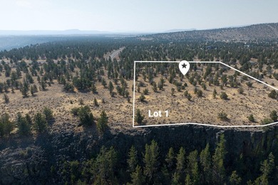 Welcome to Pinecrest Ridge - where wide open spaces meet endless - photo 4
