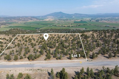 Welcome to Pinecrest Ridge - where wide open spaces meet endless - photo 5