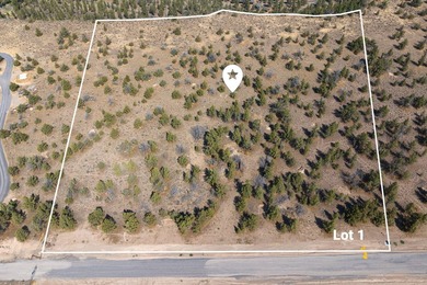 Welcome to Pinecrest Ridge - where wide open spaces meet endless - photo 6