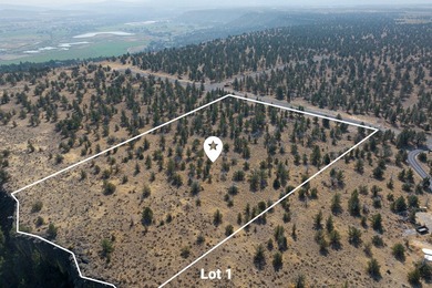 Welcome to Pinecrest Ridge - where wide open spaces meet endless - photo 7