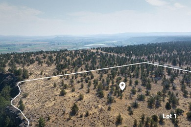 Welcome to Pinecrest Ridge - where wide open spaces meet endless - photo 8