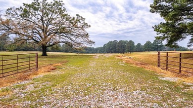 PRIME Commercial Real Estate Opportunity! Don't miss this rare - photo 5