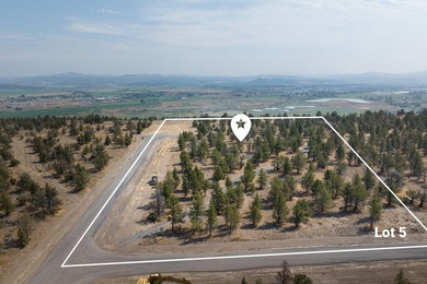 Welcome to Pinecrest Ridge - where wide open spaces meet endless - photo 2