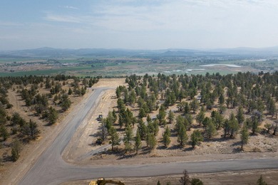Welcome to Pinecrest Ridge - where wide open spaces meet endless - photo 3