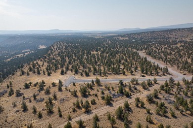 Welcome to Pinecrest Ridge - where wide open spaces meet endless - photo 5