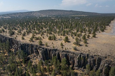Welcome to Pinecrest Ridge - where wide open spaces meet endless - photo 7