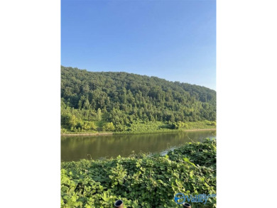 Lake Guntersville Lot For Sale in Guntersville Alabama