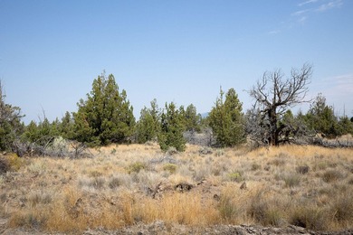 Welcome to Pinecrest Ridge - where wide open spaces meet endless - photo 8