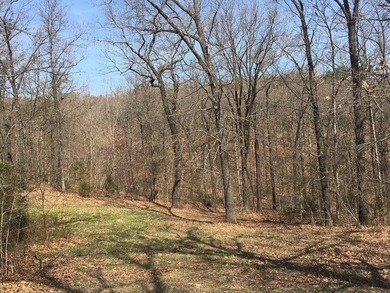 Great location and high visibility this 14.5 acres m/l has 1700 - photo 8