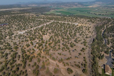 Welcome to Pinecrest Ridge - where wide open spaces meet endless - photo 5