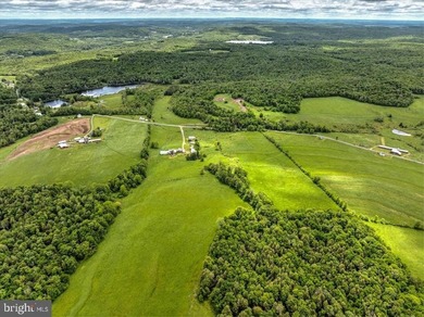 WELCOME TO 115A HELLMERS HILL RD !!! A rare opportunity to own a - photo 19