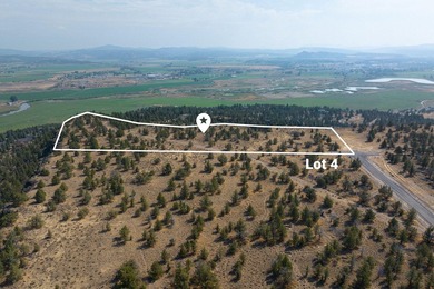Welcome to Pinecrest Ridge - where wide open spaces meet endless - photo 5