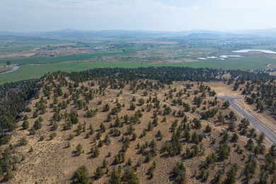 Welcome to Pinecrest Ridge - where wide open spaces meet endless - photo 9