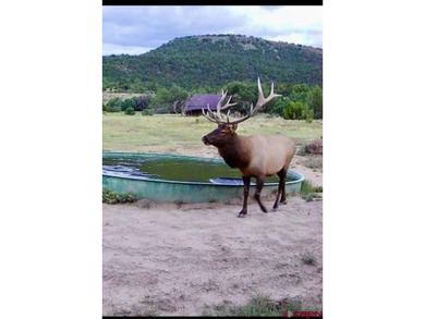 (private lake, pond, creek) Home For Sale in Kim Colorado