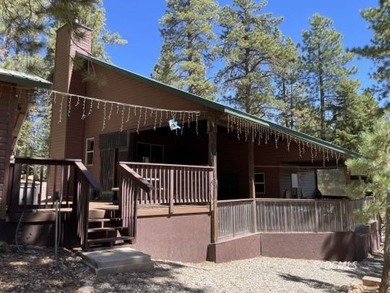 Navajo Lake Home For Sale in Duck Creek Village Utah